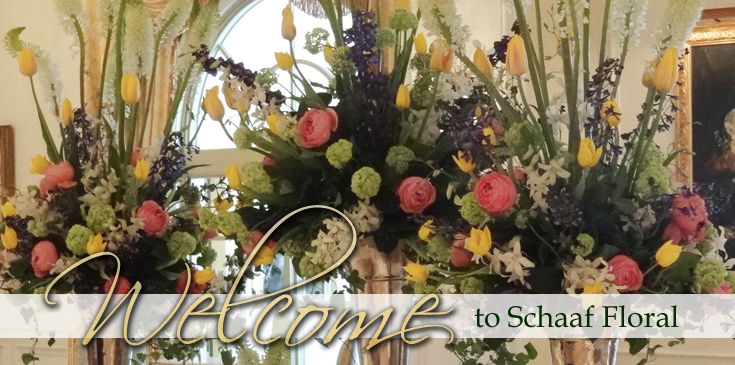 Send flowers for any occasion!
