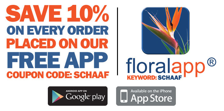 Send flowers with your android or iPhone.