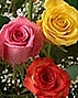 Floral Arrangements