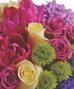 Schaaf Floral Catalog
