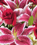 2013 Floral Calendar