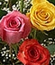 Floral Arrangements
