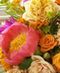 Flowering Plants