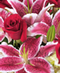 2013 Floral Calendar