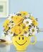 Get Well Flowers
