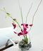 Tropical Arrangements