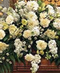 Funeral Flowers