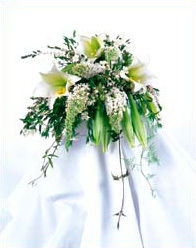Weddings at Schaaf Floral