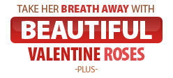 Take Her Breath Away with Beautiful Valentine Roses