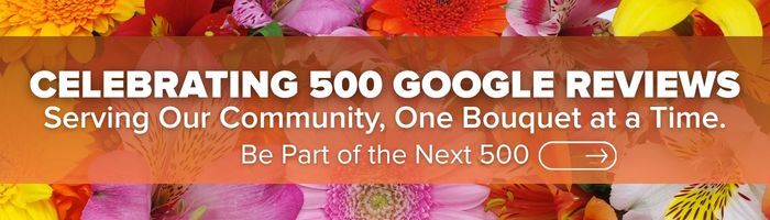 Schaaf Floral has 500 Google Reviews! Serving our community, one bouquet at a time. Be part of the next 500, and leave us a review. 