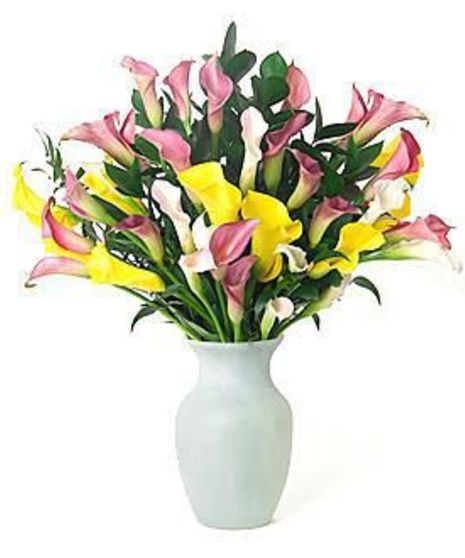 Mixed Callas