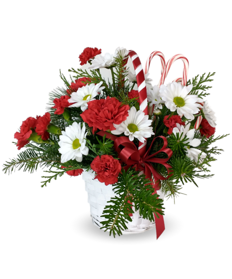 Holiday Candy Canes