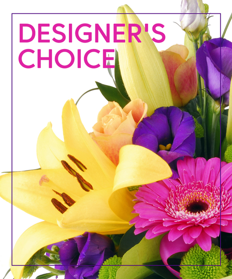 Designer's Choice