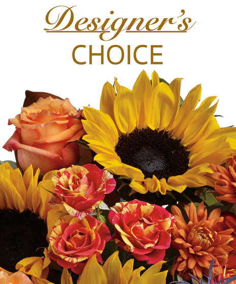 Fall Designers choice