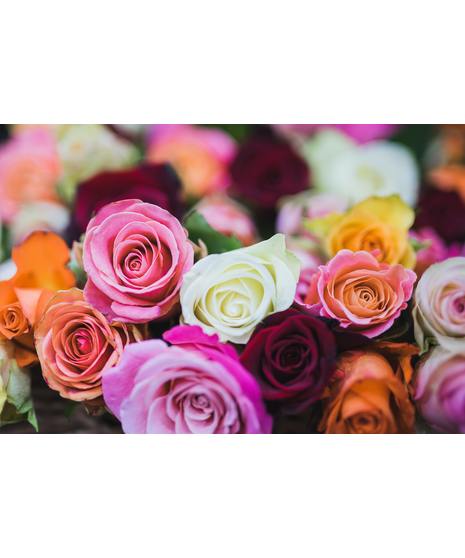 Half Dozen Mixed Roses