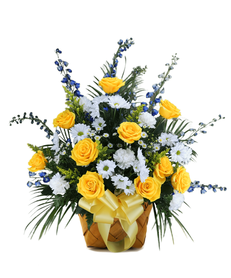 Yellow, White and Blue Traditional
