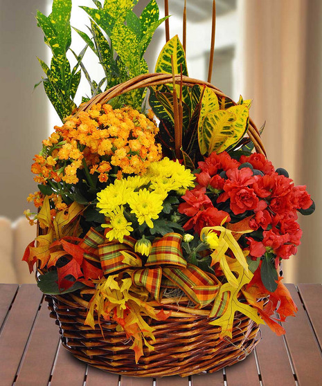 Fall European Basket