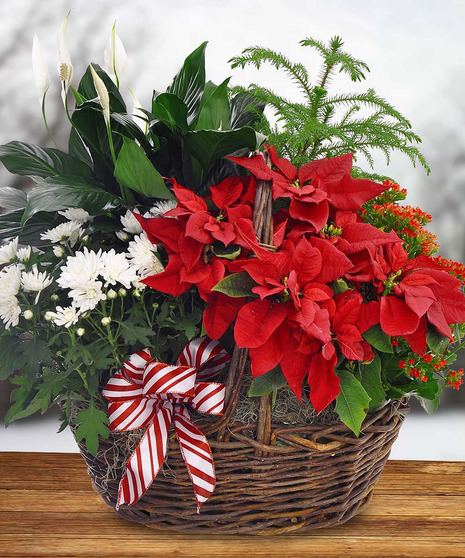 Holiday European Basket