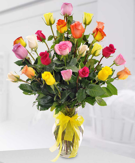 Multicolored Roses