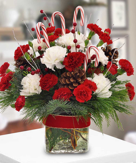 Carnation and Candy Cane Holiday Arrangement