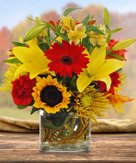 Fall Festival of Flowers