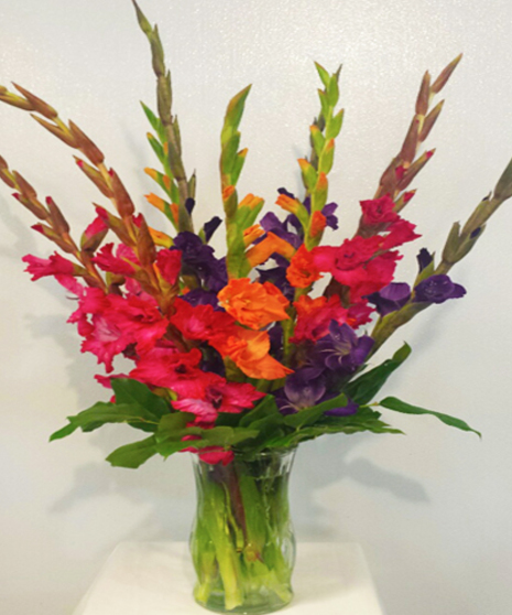Gladiolas Galore