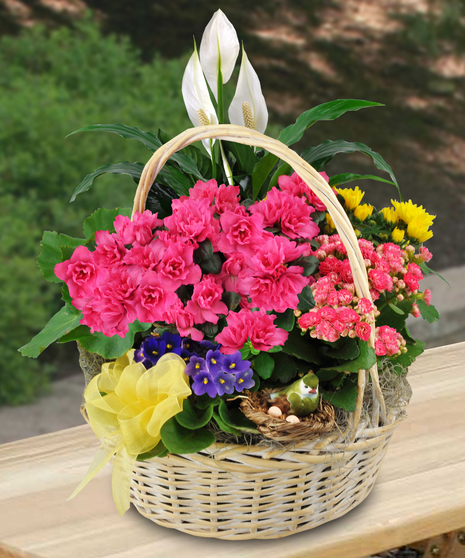Deluxe  Garden Basket