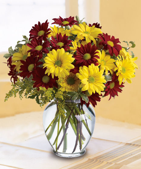 Fall for Daisies