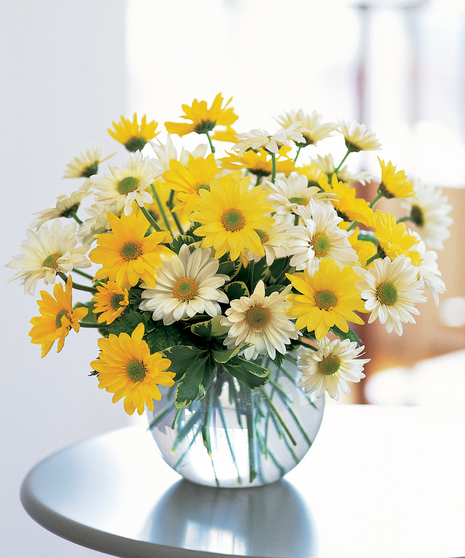 Dashing Daisies