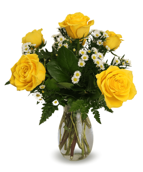 Half Dozen Yellow Roses