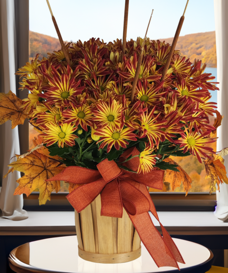 Autumn Chrysanthemum