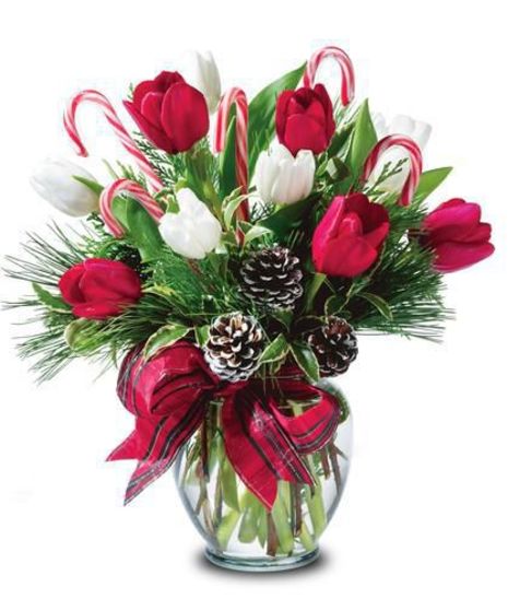 Peppermint Tulips