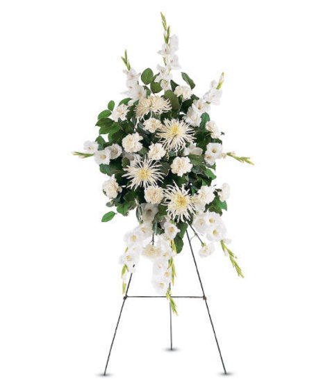 All White Sympathy Spray