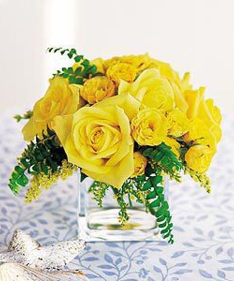 Yellow Rose Bravo