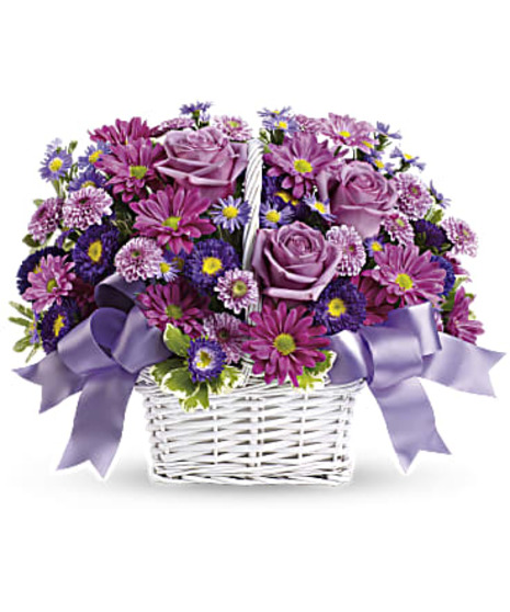 lavender daisy spray chrysanthemums, dark purple Matsumoto asters, lavender cushion spray chrysanthemums and purple Monte Cassino asters