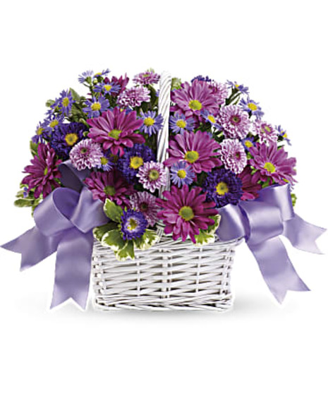 lavender daisy spray chrysanthemums, dark purple Matsumoto asters, lavender cushion spray chrysanthemums and purple Monte Cassino asters