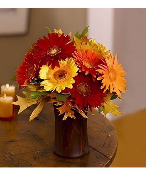 Autumn Gerberas