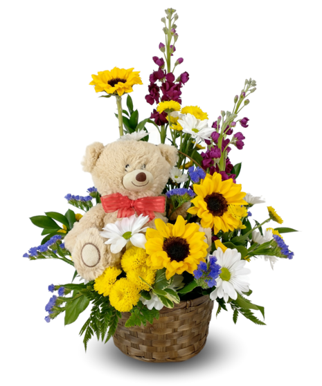Bear & Basket