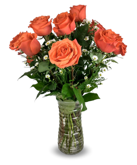 One Dozen Orange Roses