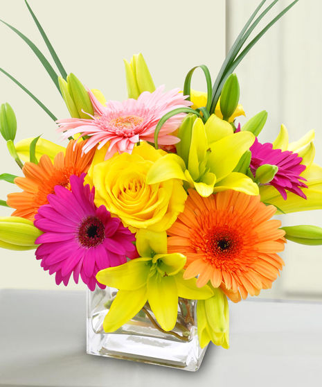 Bright and Stunning