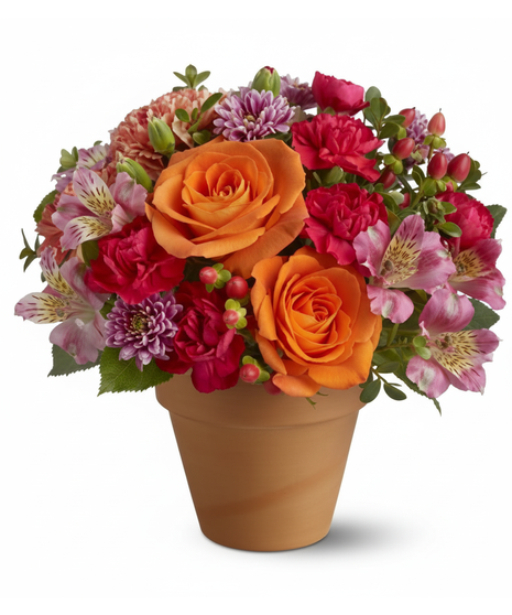Rose Clay Pot Floral Arrangement