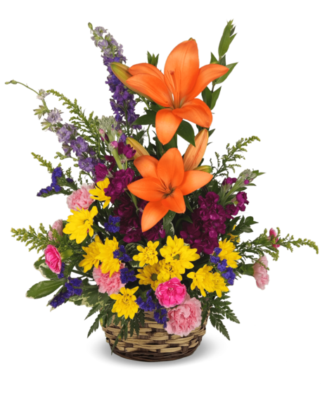 Mixed Basket of Flowers