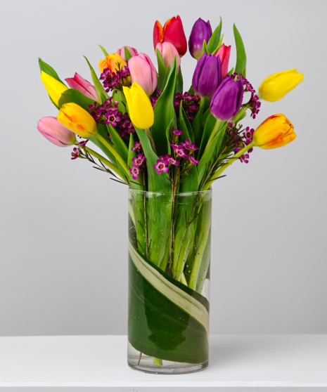 Multi-Colored Tulips Galore