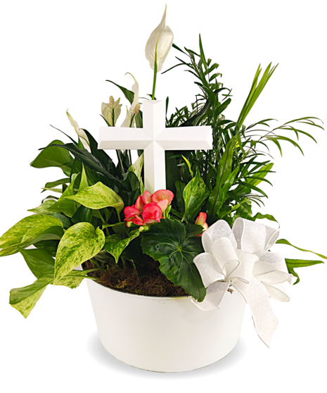 Sacred Cross Garden