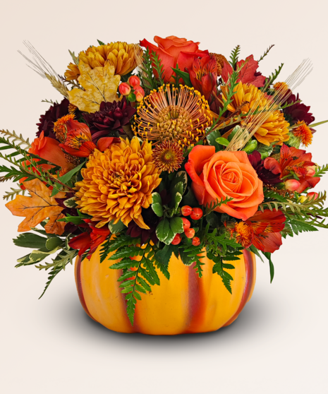 Pumpkin Paradise
