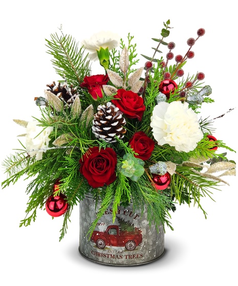 O Tannenbaum