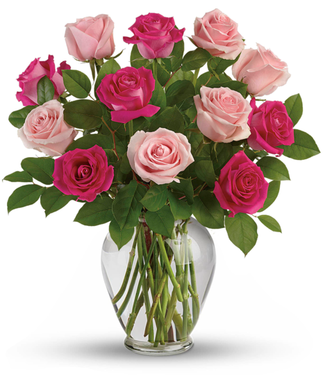 Pink roses in a classic vase.