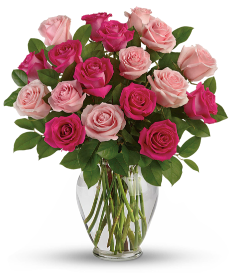 Pink roses in a classic vase.