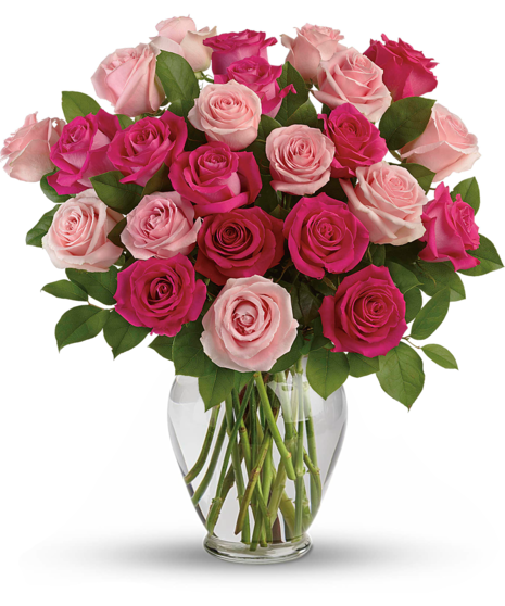 Pink Roses - Colors Of Love
