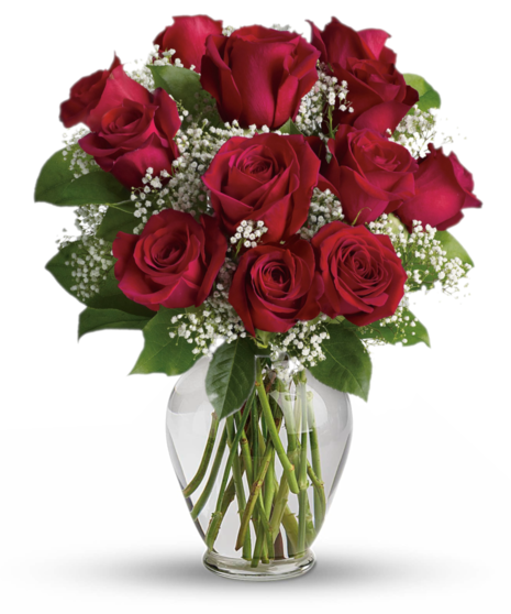 Crimson Rose Delight